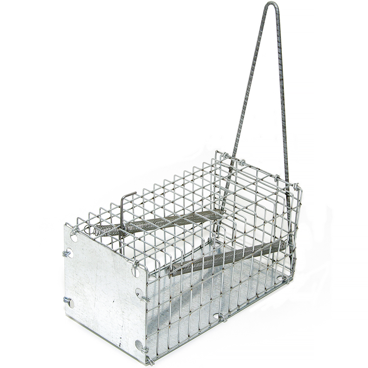 Łapka żywochwytna na szkodniki - 20 cm