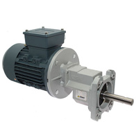 Silnik motoreduktor 0,55 kW z przekładnią do linii wzdłużnej karmienia