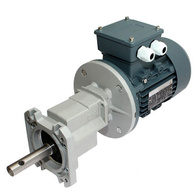 Silnik motoreduktor 0,37 kW z przekładnią do linii wzdłużnej karmienia