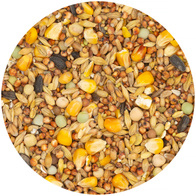 Karma dla gołębi całoroczna pełne ziarno Paszarnia Tradycyjna 18 kg