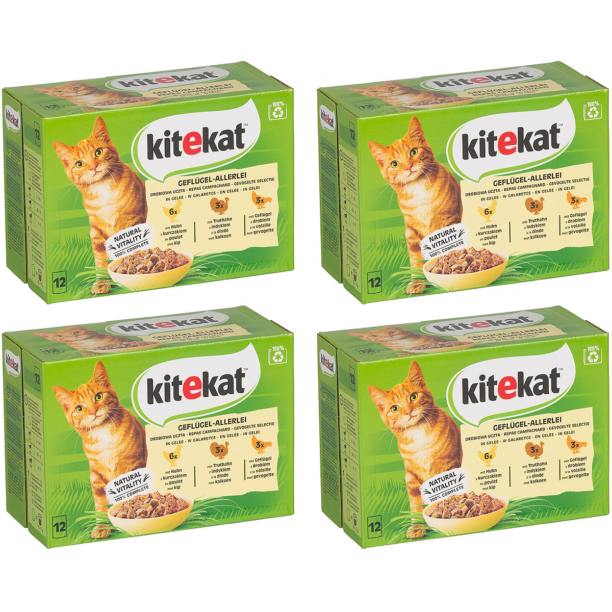 Mokra karma dla kota KITEKAT mix smaków w galaretce 48 x 85 g