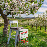 Azofoska nawóz uniwersalny do ogrodu Florovit 25 kg