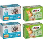 Mokra karma dla kota KITEKAT FRENDI mix smaków w sosie 48 x 85 g