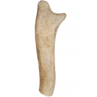 Naturalny gryzak z poroża daniela dla psa DOGRYZKI M soft