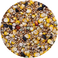 Karma dla gołębi sezonowa SE AGRO KING 25 kg