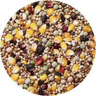 Karma dla gołębi bez pszenicy BP AGRO KING 25 kg