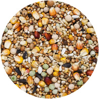 Karma dla gołębi bez pszenicy BP AGRO KING 25 kg