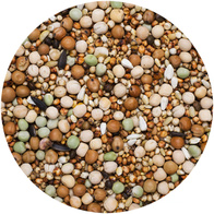 Karma dla gołębi bez kukurydzy BK AGRO KING 25 kg