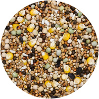 Karma dla młodych gołębi MŁ-S młode standard AGRO KING 25 kg