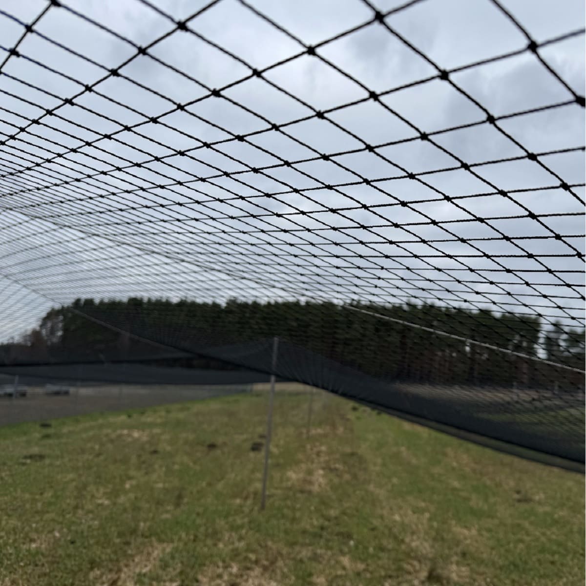 Siatka wolierowa polietylenowa 6 x 6 cm czarna na wymiar