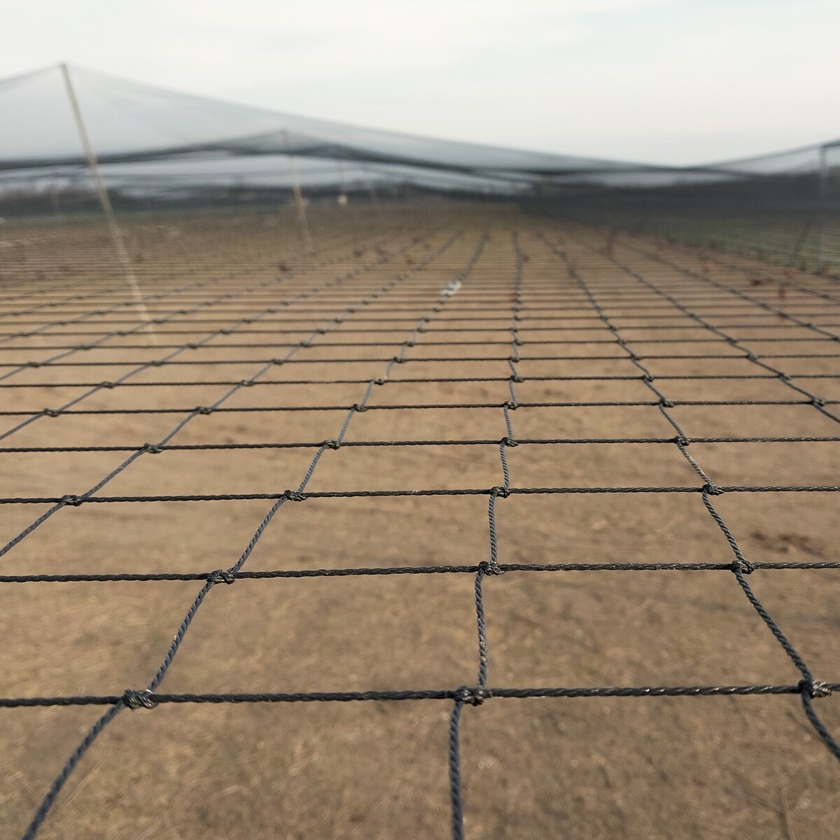 Siatka polietylenowa na woliery na wymiar oczko 10 x 10 cm