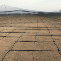 Siatka polietylenowa na woliery na wymiar oczko 10 x 10 cm
