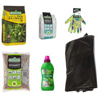 Zestaw do przesadzania PALM JUK I DRACEN 6w1