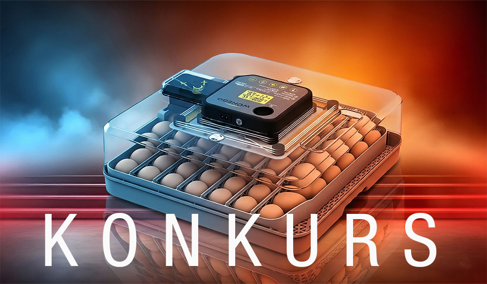 Jajko w roli głównej: weź udział w konkursie i zgarnij inkubator!