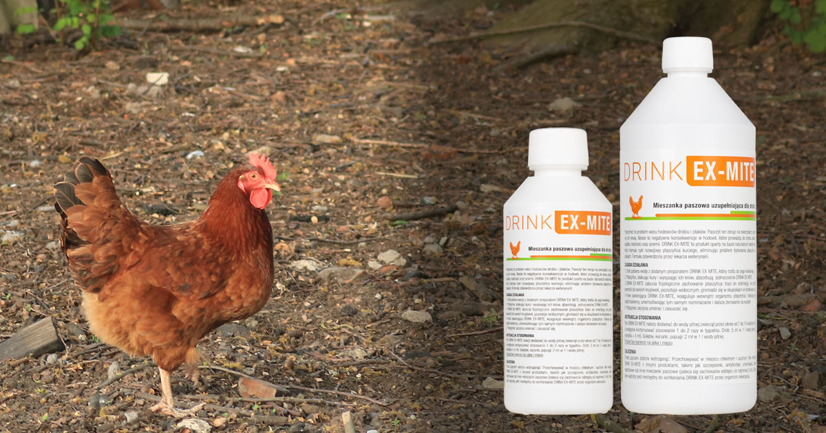 Rewolucja w zwalczaniu ptaszyńca kurzego - DRINK EX-MITE