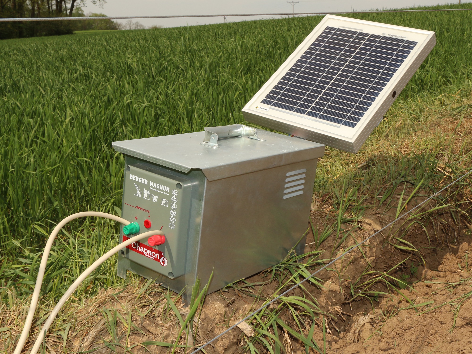 Pastuch elektryczny
