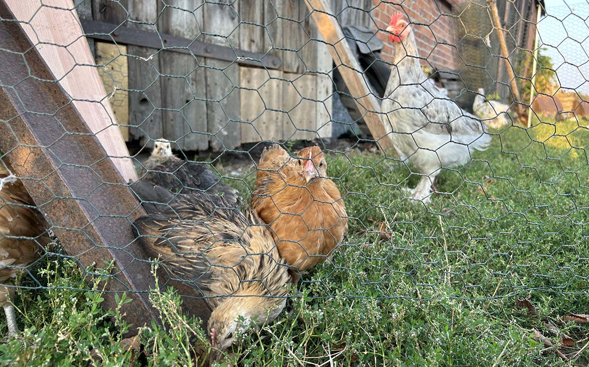 Rejestracja kur 2025 - sprawdź czy Cię obowiązuje!