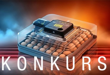 Jajko w roli głównej: weź udział w konkursie i zgarnij inkubator!