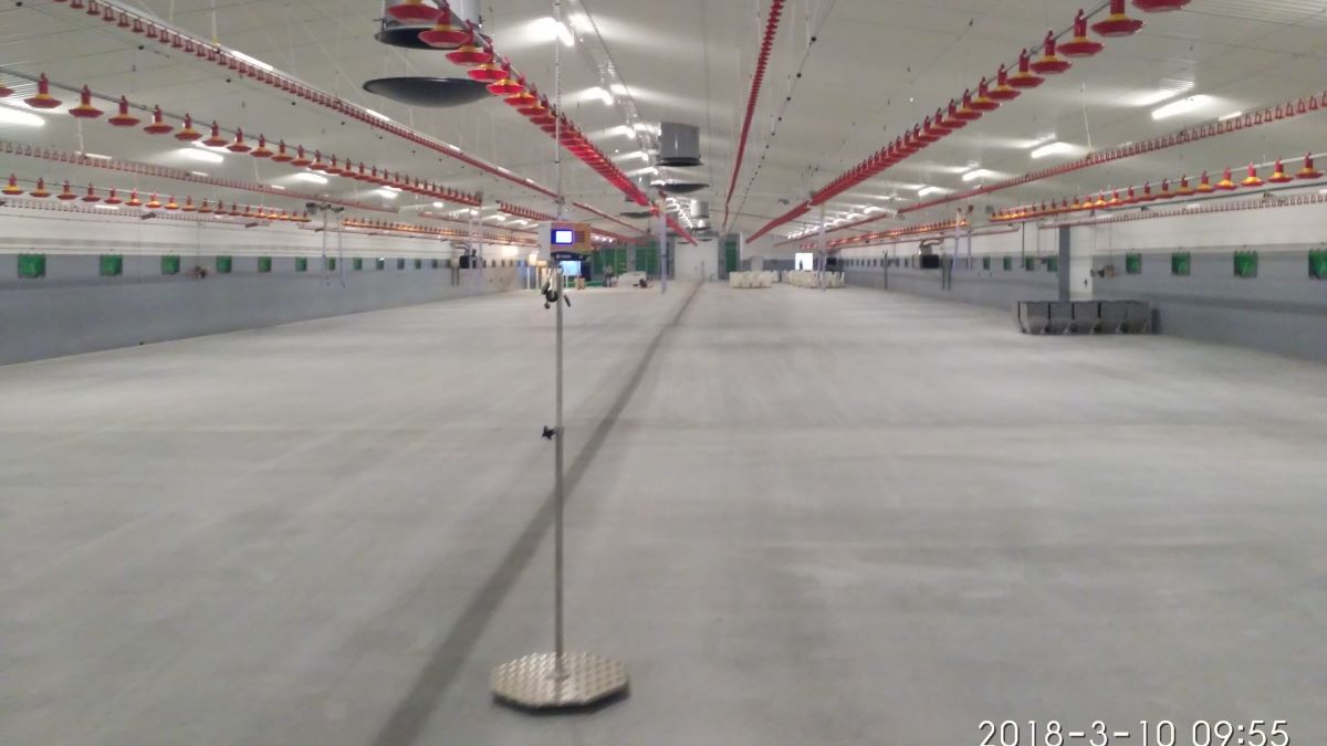 Wyposażenie kurnika - System ważenie brojlerów