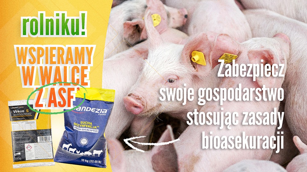dofinasowanie do bioasekuracji dla hodowc&oacute;w świń