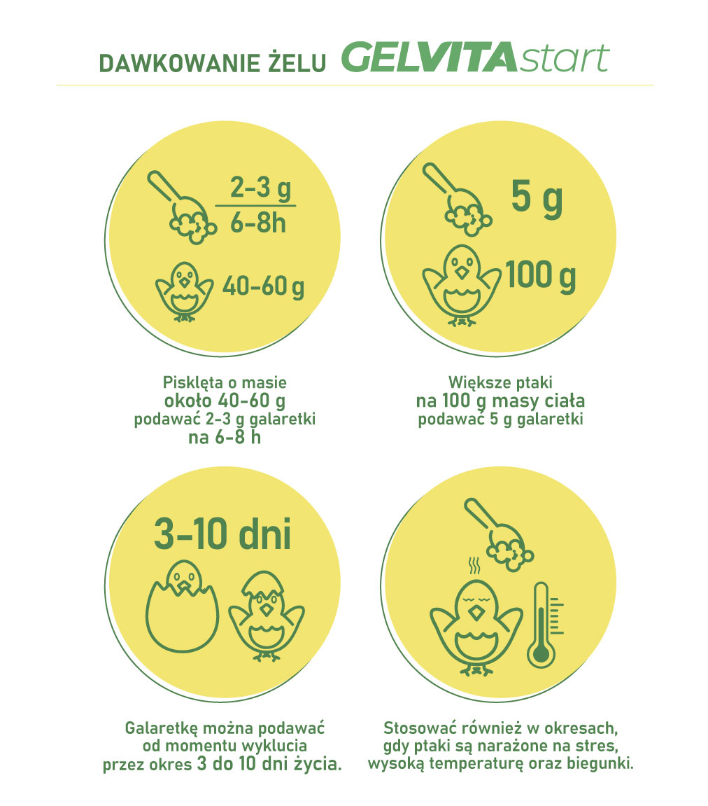 gelvita dawkowanie