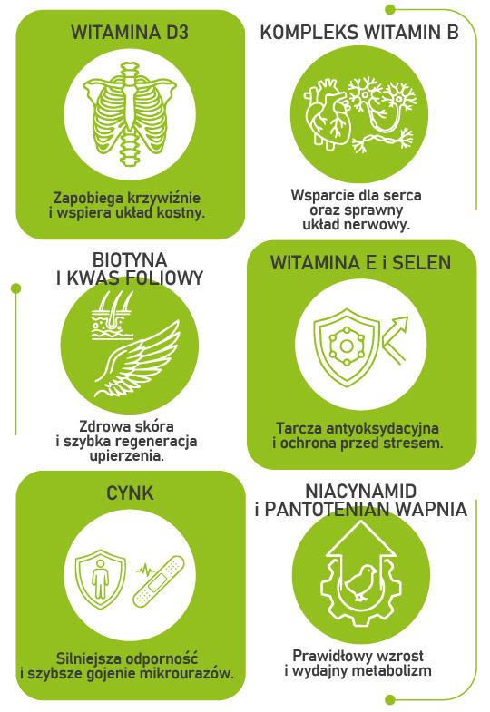 vitostart cechy