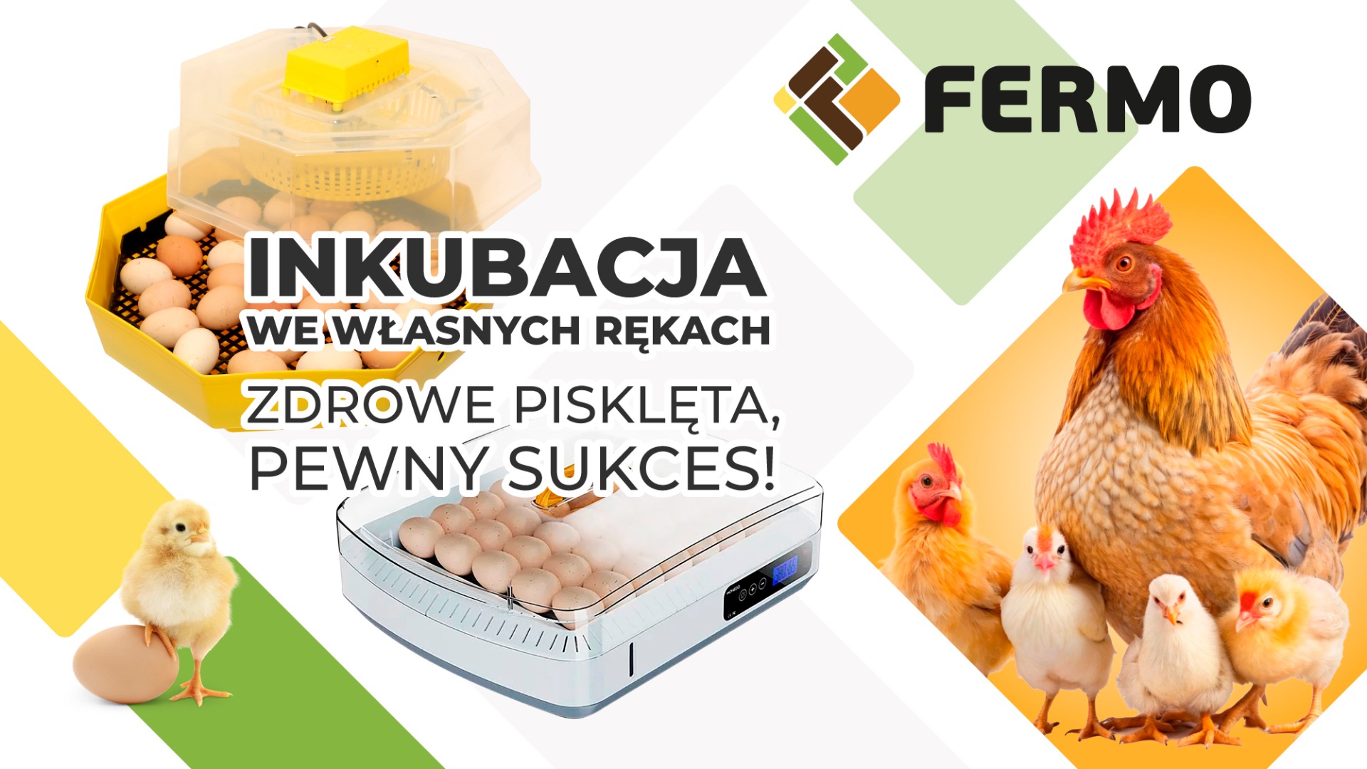 inkubacja z Fermo