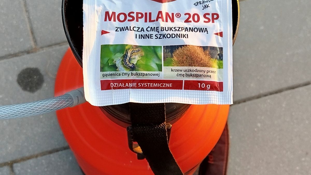 Oprysk na ćme bukszpanową