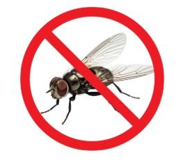STOP owadom z X-FLY PRO!