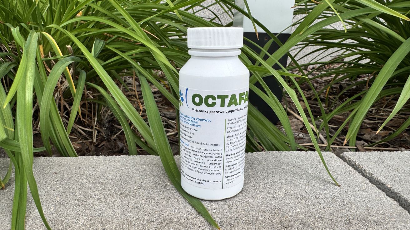 octafarm max na kaszel kichanie kur