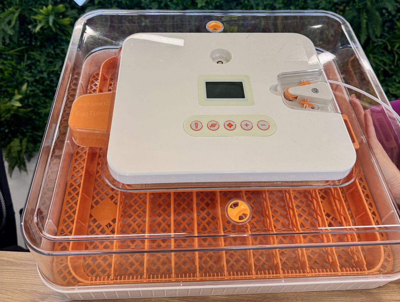 inkubator ovostart 56