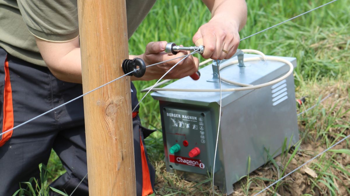 Podłączanie elektrycznego pastcuha