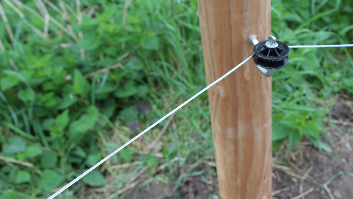 Montaż pastucha na dziki - elektryzator