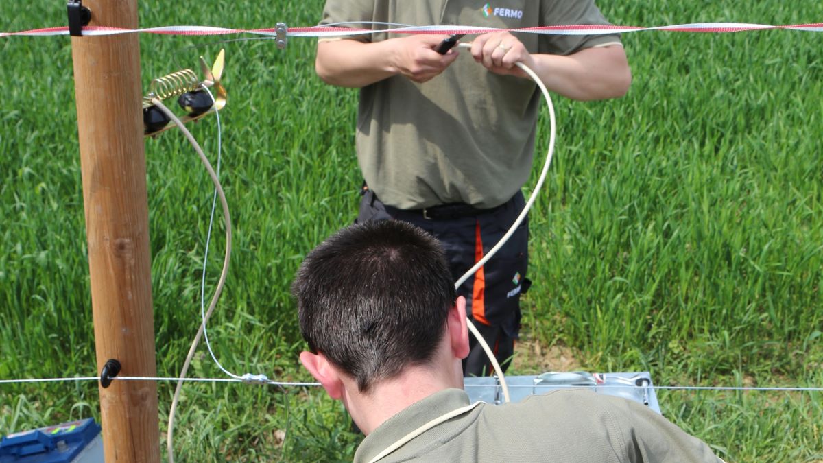 Podłączanie elektrycztora do elektrycznego pastcuha na dziki
